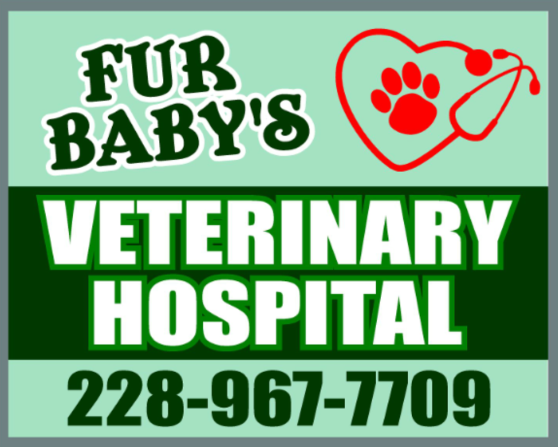 Fur Baby's Veterinary Hospital